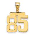14k Medium Polished Number 85 Charm, 2.5 g