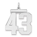 Sterling Silver/Rhodium-plated Polished Number 43 Charm, 24 x 20 mm