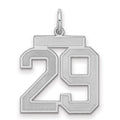 Sterling Silver/Rhodium-plated Satin Number 29 Charm, 22 x 18 mm