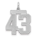 Sterling Silver/Rhodium-plated Satin Number 43 Charm, 22 x 18 mm