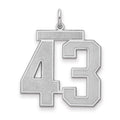 Sterling Silver/Rhodium-plated Satin Number 43 Charm, 25 x 21 mm