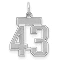 Sterling Silver/Rhodium-plated Satin Number 43 Charm, 19 x 14 mm