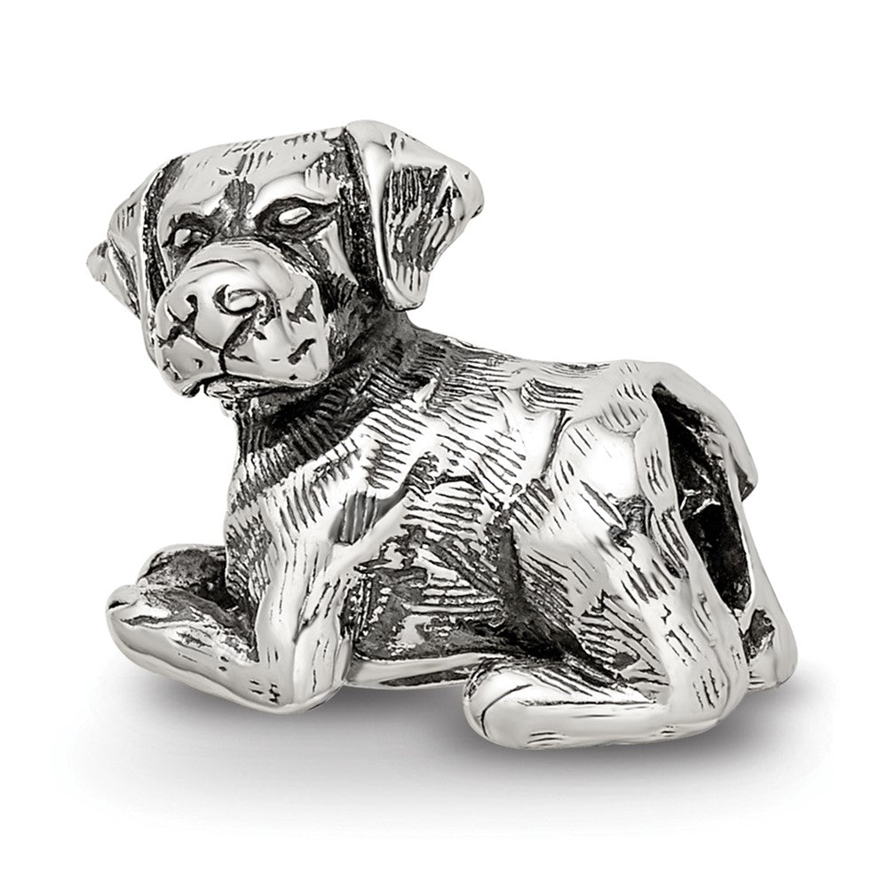 Sterling Silver Reflections Labrador Retriever Bead, 10 x 11.82 mm