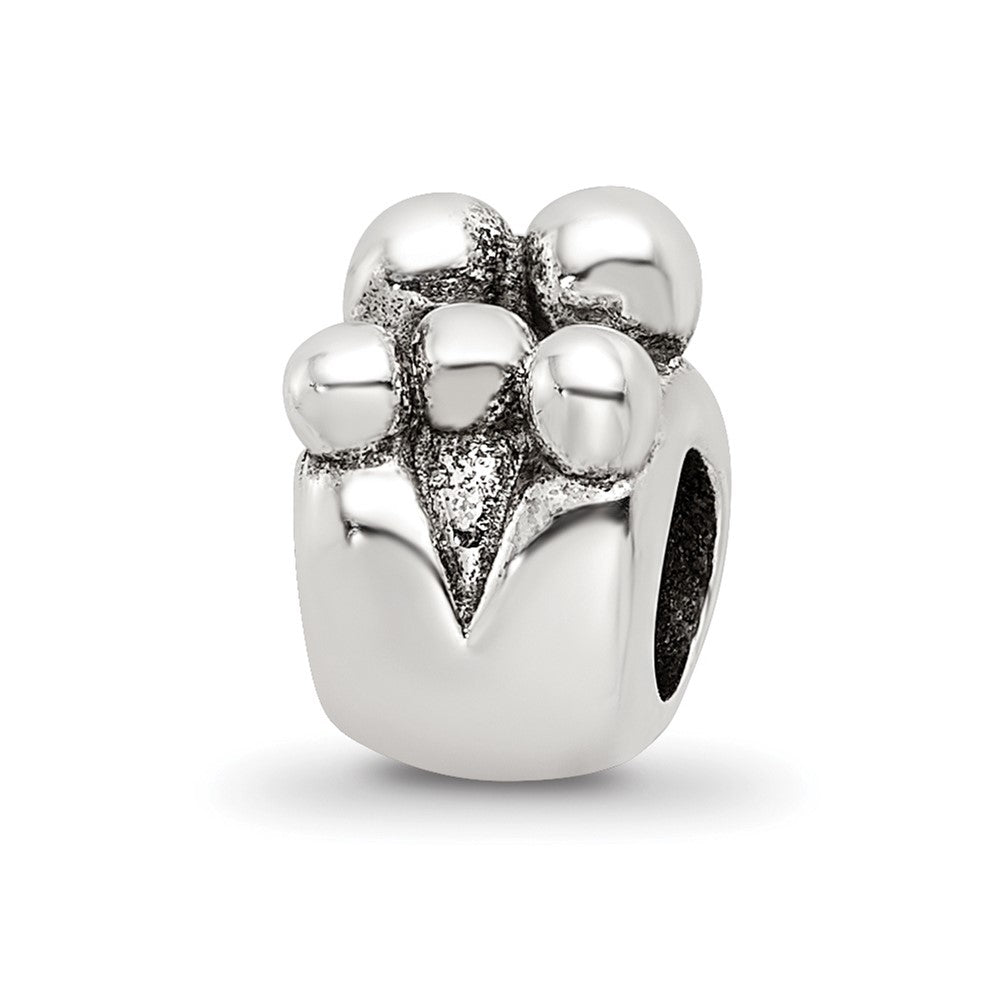 Sterling Silver Reflections Family of 5 Bead, 10 x 7.27 mm