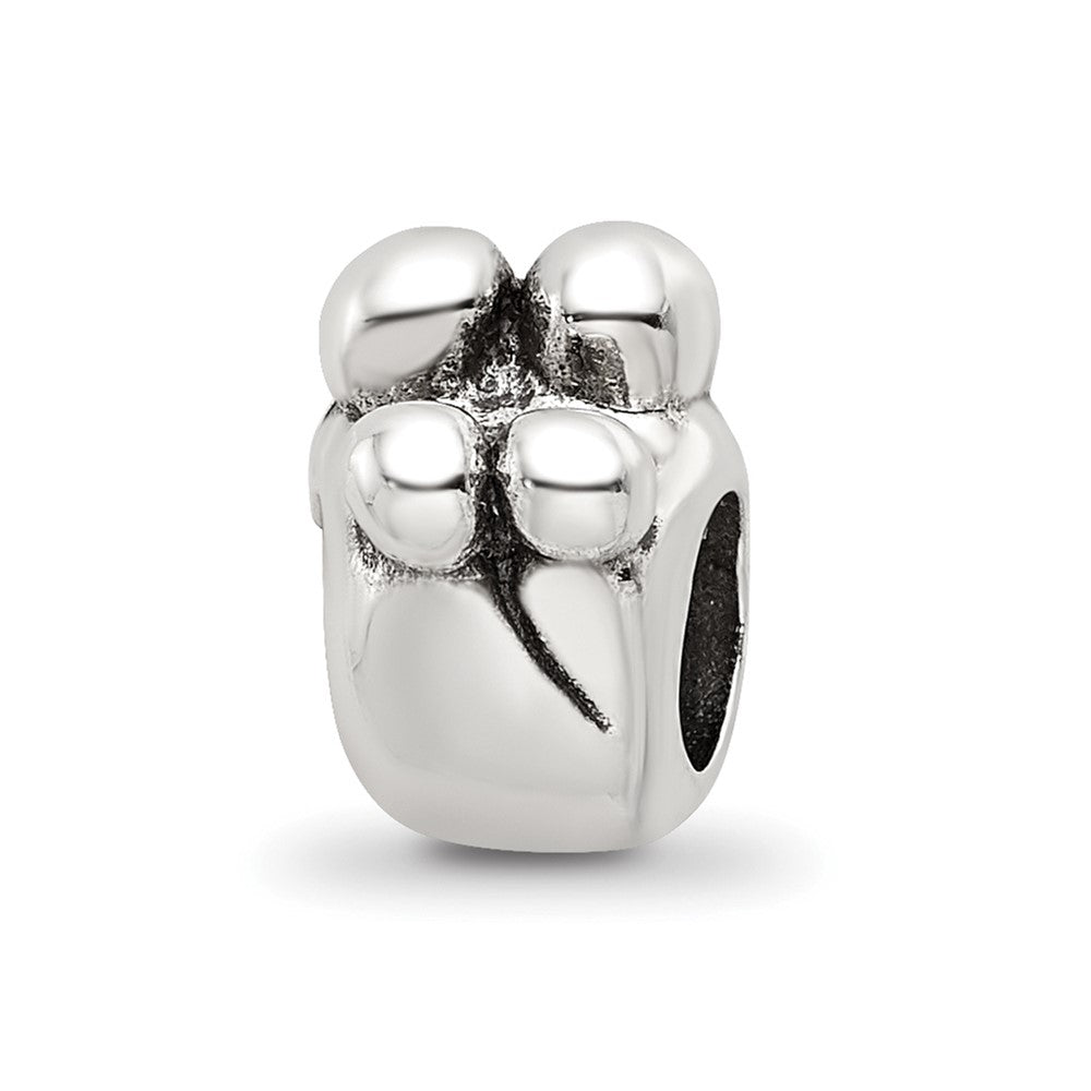 Sterling Silver Reflections Family of 4 Bead, 9.09 x 6.36 mm