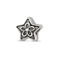 Sterling Silver Reflections Antiqued Star with Flower Kids Bead, 7.05 x 7.05 mm