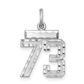 Sterling Silver Rhodium-plated Diamond-cut #73 Charm, 20 x 14 mm