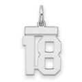 Sterling Silver/Rhodium-plated Polished Number 18 Charm, 20 x 8 mm
