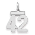 Sterling Silver/Rhodium-plated Polished Number 42 Charm, 20 x 8 mm