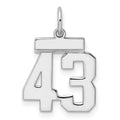 Sterling Silver/Rhodium-plated Polished Number 43 Charm, 20 x 8 mm