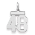 Sterling Silver/Rhodium-plated Polished Number 48 Charm, 20 x 8 mm