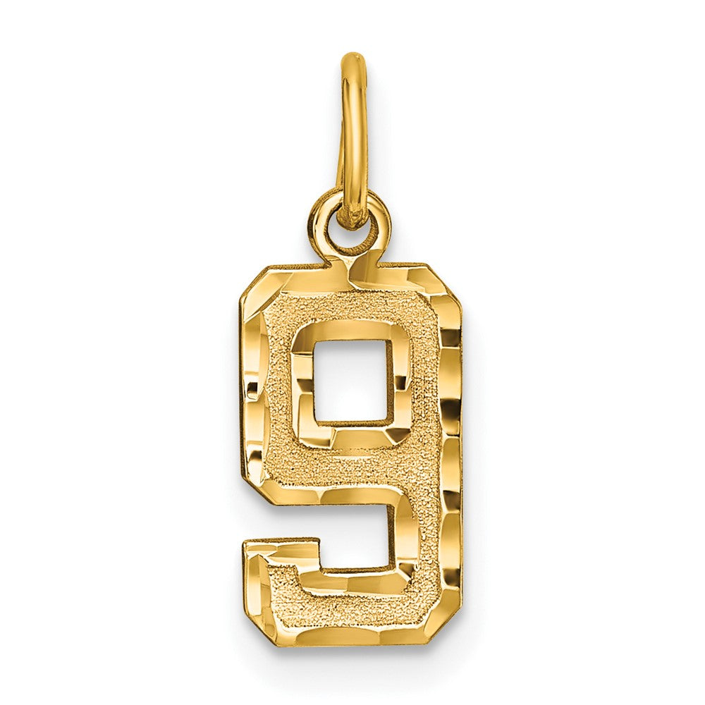 14k Small Brushed Diamond-cut Number 9 Charm, 15.63 x 7.97 mm