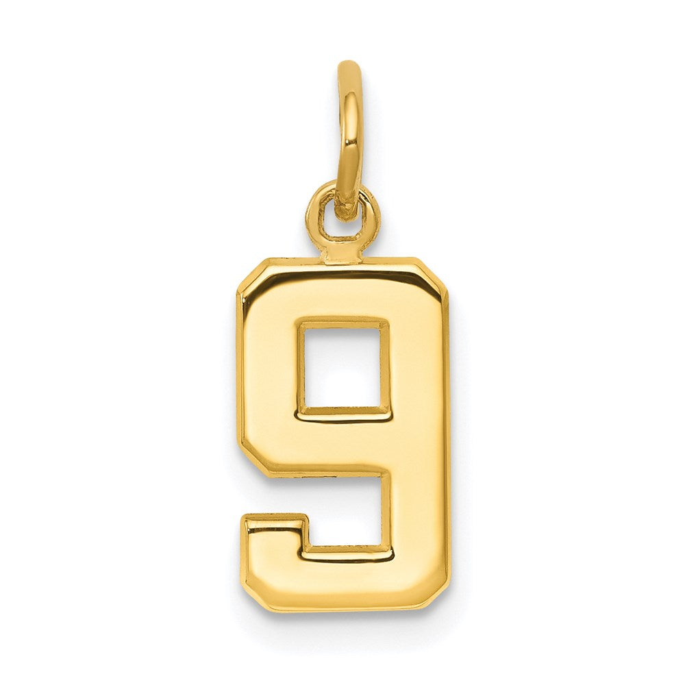 14k Small Polished Number 9 Charm, 14.19 x 7.31 mm