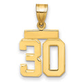 14k Small Polished Number 30 Charm, 1.63 g