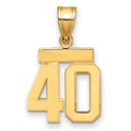14k Small Polished Number 40 Charm, 1.61 g