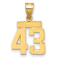 14k Small Polished Number 43 Charm, 1.6 g
