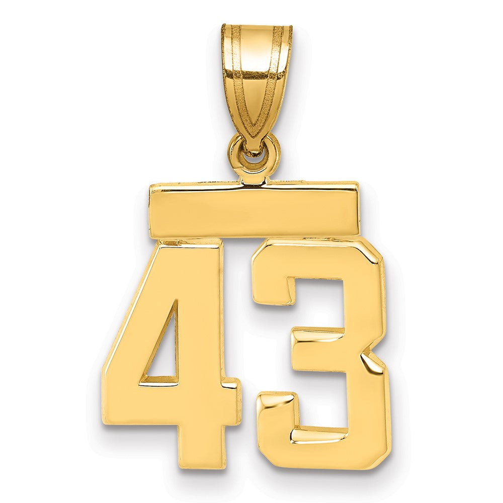 14k Small Polished Number 43 Charm, 1.6 g