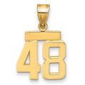 14k Small Polished Number 48 Charm, 1.69 g