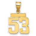 14k Small Polished Number 53 Charm, 1.66 g