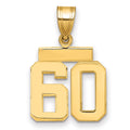 14k Small Polished Number 60 Charm, 1.75 g
