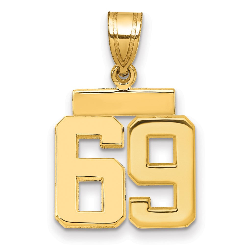14k Small Polished Number 69 Charm, 1.85 g