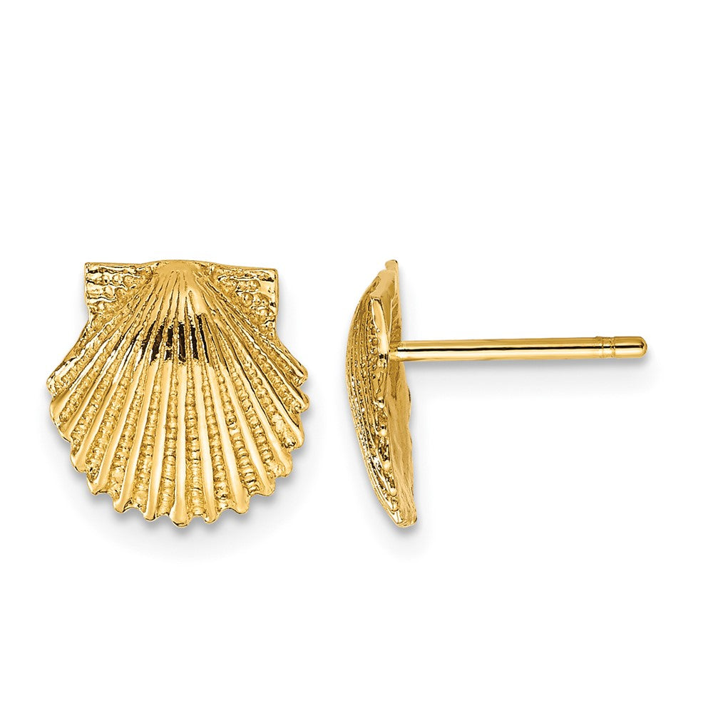 14k Scallop Shell Post Earrings, 9 x 9 mm