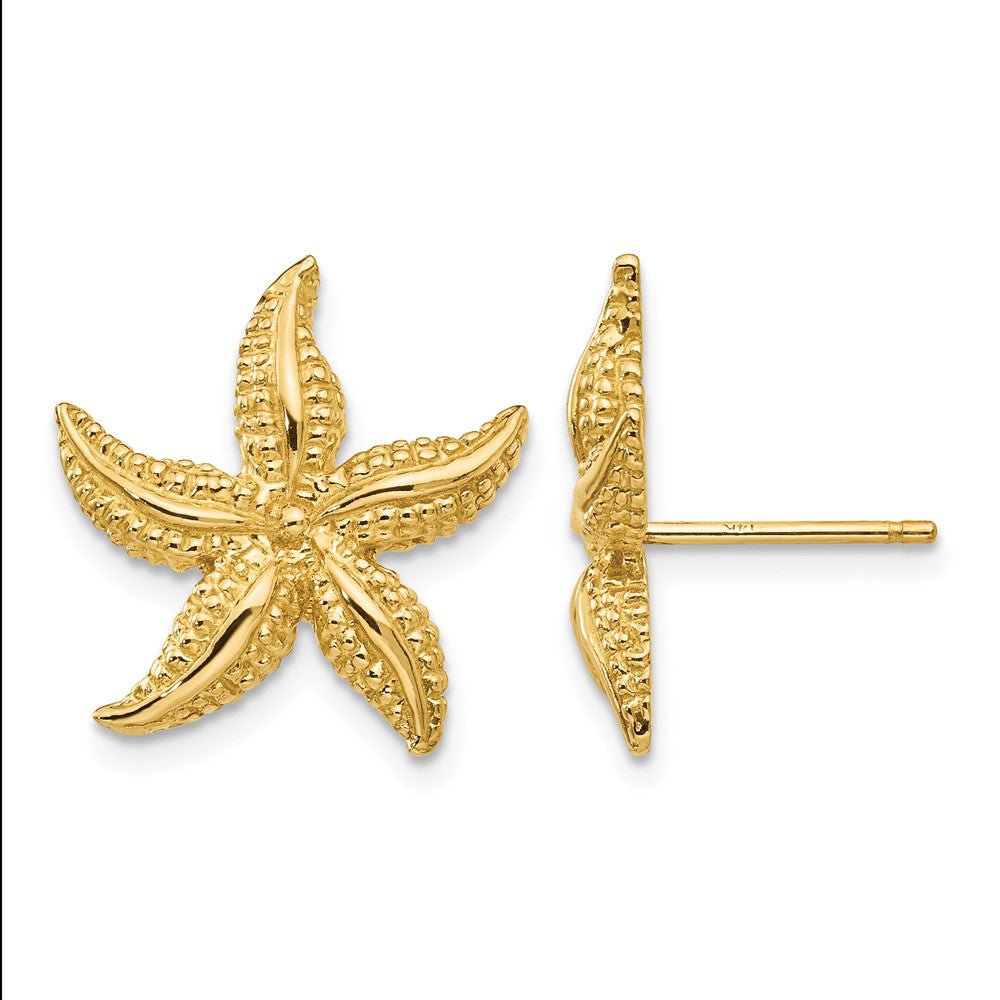 14k Starfish Post Earrings, 17 x 16 mm