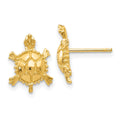 14k Polished Turtle Post Earrings, 12 x 10 mm