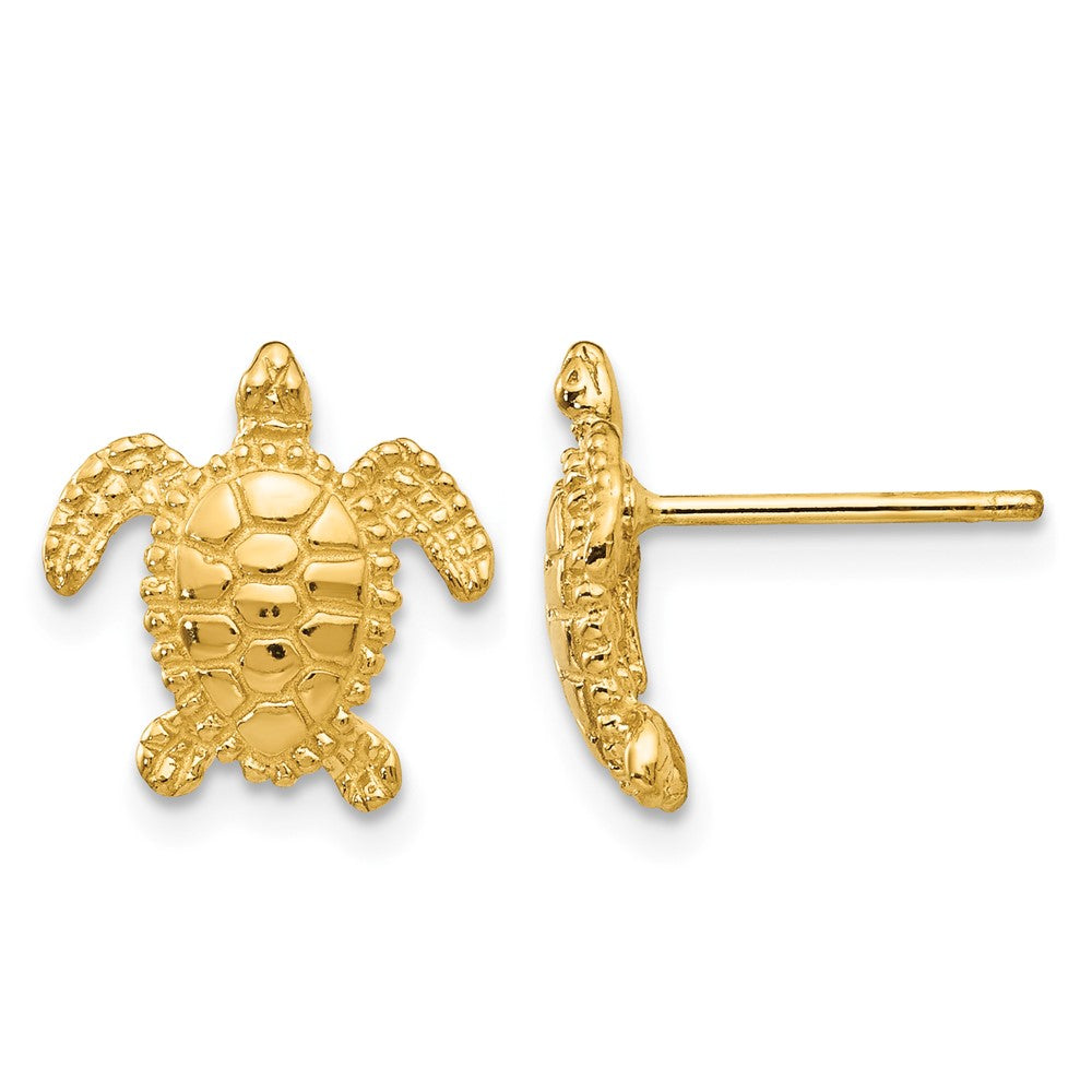 14k Sea Turtle Post Earrings, 11 x 11 mm