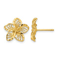 14K Diamond-cut Filigree Plumeria Post Earrings, 11 x 12 mm