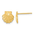 14k Satin Diamond-cut Seashell Post Earrings, 9 x 9 mm