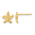 14k Satin Diamond-cut Starfish Post Earrings, 7.5 x 8.5 mm