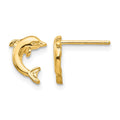 14k Mini Jumping Dolphin Post Earrings, 9 x 7 mm