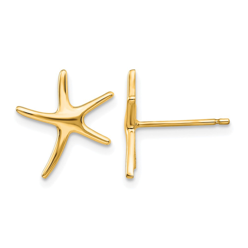 14k Starfish Post Earrings, 14 x 12 mm