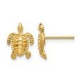14k Sea Turtle Post Earrings, 11 x 9 mm