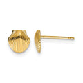 14k Mini Scallop Shell Post Earrings, 7 x 7 mm