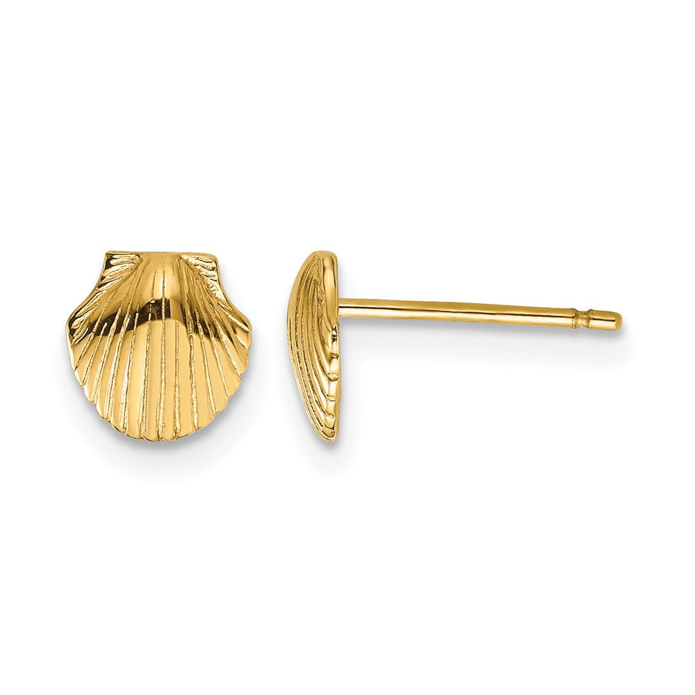 14k Mini Scallop Shell Post Earrings, 7 x 7 mm