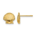 14k Scallop Shell Post Earrings, 8 x 9 mm