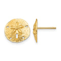 14k Sand Dollar Post Earrings, 12 x 12 mm