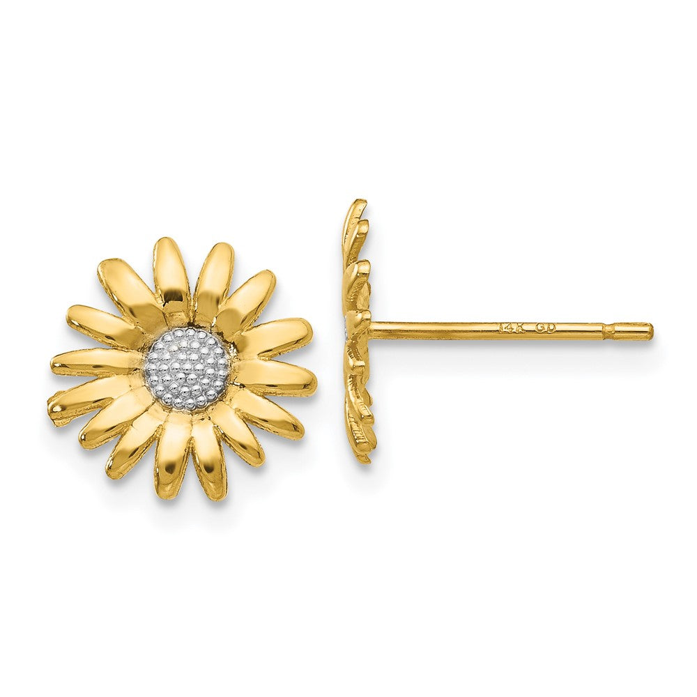 14k and White Rhodium Daisy Post Earrings, 10 x 10 mm
