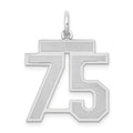 14kw Medium Satin Number 75 Charm