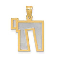14k Two-Tone Solid Satin Chai Charm, 22 x 16 mm