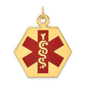14k 26.5mm Hexagon Red Enameled Medical Jewelry Pendant, 32 x 26.5 mm