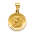 14k Polished and Satin Hollow Our Lady of Sorrows Medal Round Pendant, 22.5 x 15 mm